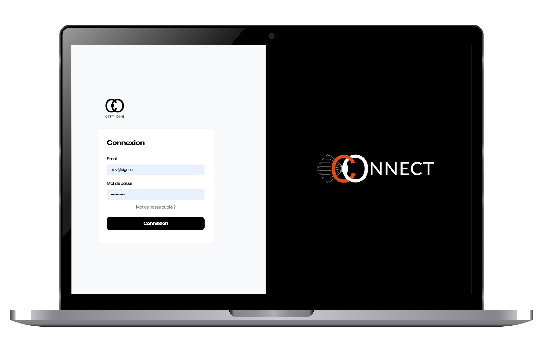 Application métier sur mesure - Interface 1 - Vigee